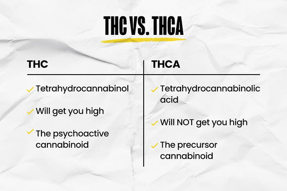An infographic listing the differences between THC vs. THCA