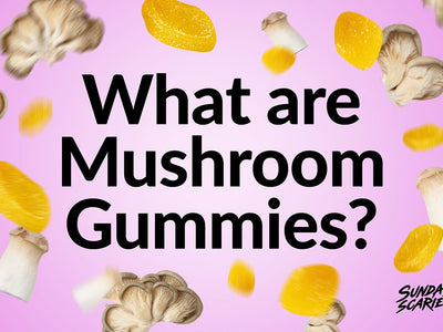 Different types of functional mushrooms infused with gummies