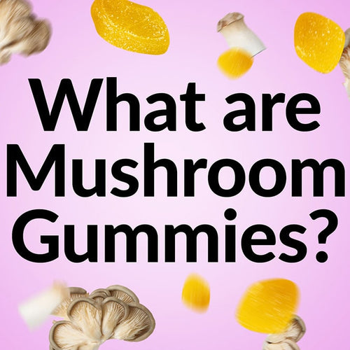 Different types of functional mushrooms infused with gummies