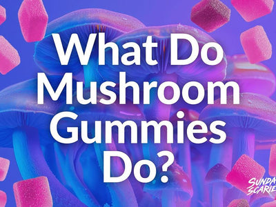 Gummies with a mushroom cluster behind them showing what mushroom gummies do