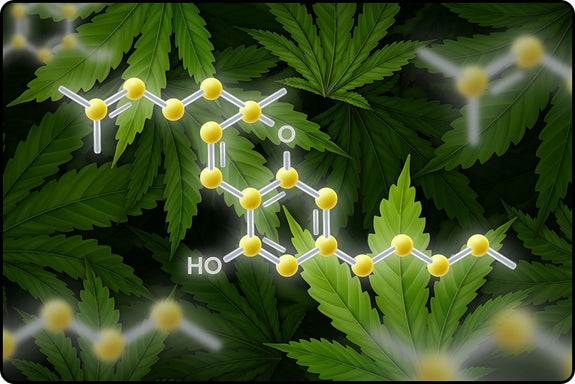 The molecular structure to show what CBC (Cannabichromene) is