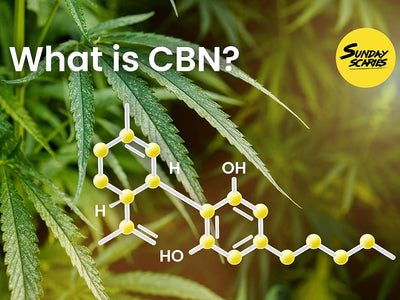 The chemical structure for cannabinol, answering the question 