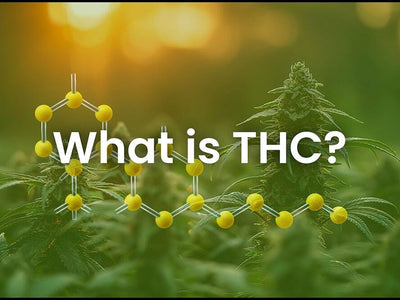 What is THC?