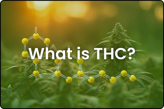What is THC?