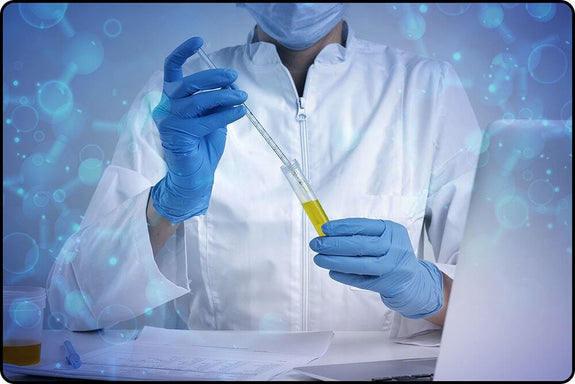 A scientist shows if THC gummies will test positive on a drug test