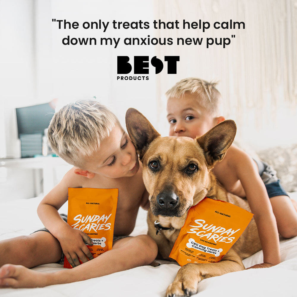 Two young boys hang with their dog on the bed with a quote from Best Products that says: "The only treats that help calm down my anxious new pup".