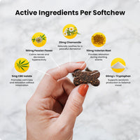 A woman's hand holds up a Sunday Scaries CBD soft chew with icons for the active ingredients