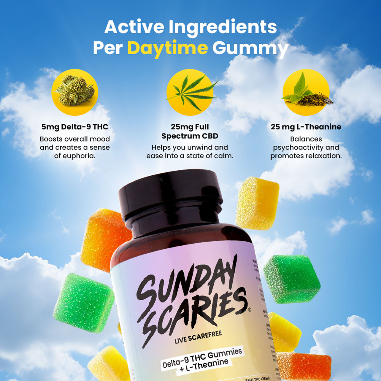 Day and Night Bundle Daytime Active Ingredients