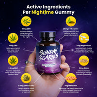 Day and Night Bundle Nighttime Active Ingredients