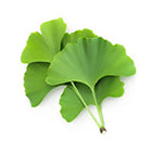 30mg Gingko Biloba Extract