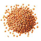 10mg L-Leucine