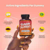 Mushroom Gummies