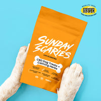 Dog paws hold Sunday Scaries calming treats for dogs. 