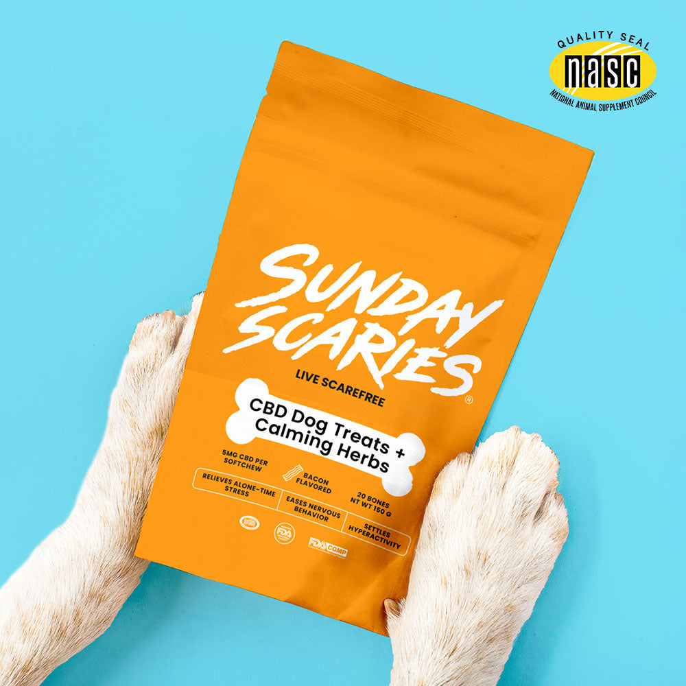 Dog paws hold Sunday Scaries calming treats for dogs. 