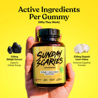 A hand holding our bottle, showing the active ingredients per gummy in our Shilajit gummies 